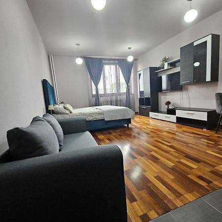 Central Sweet Apartment Self Check-In Тимишоара Екстериор снимка
